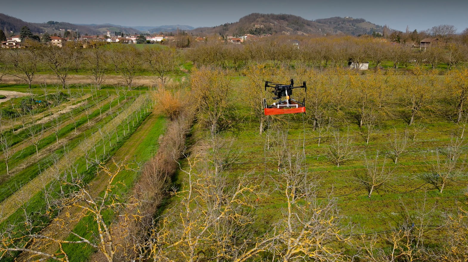 Pherodrone in action