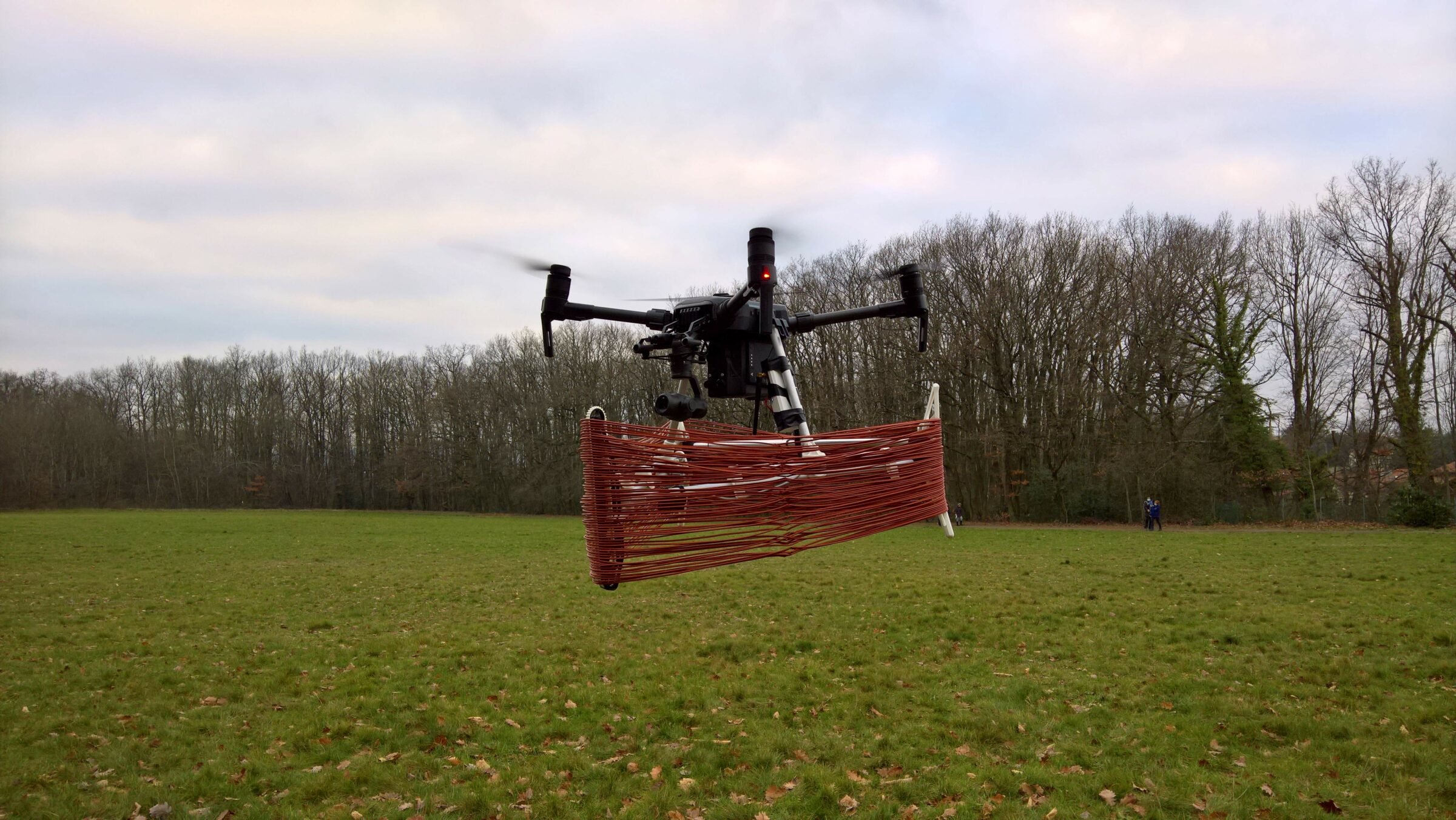 Pherodrone carrying rings