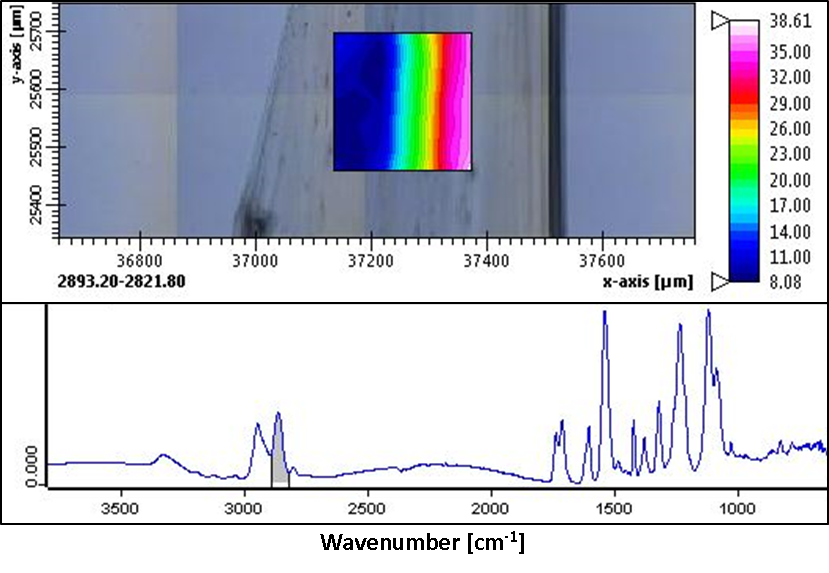 3D printed polymer thin film