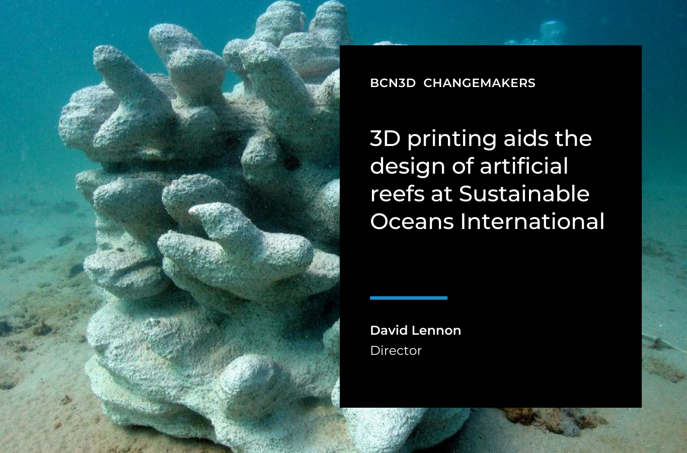 3D printing aids the design of artificial reefs at Sustainable Oceans International