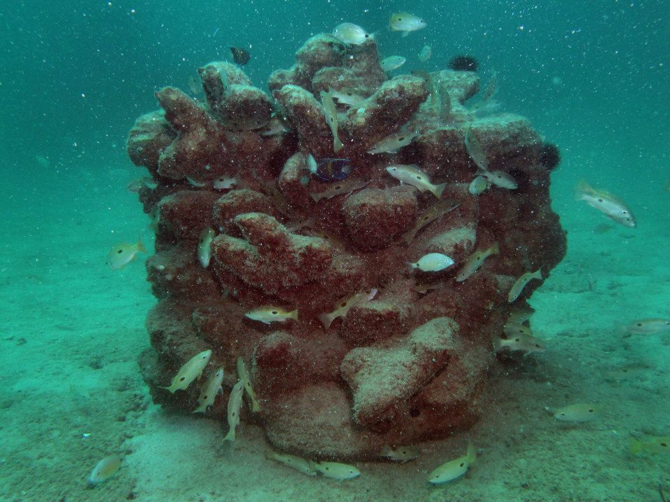 Artificial reefs