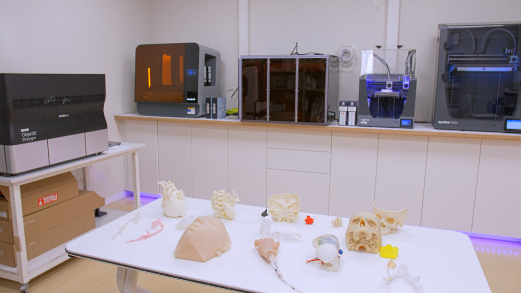 3D printed anatomical models